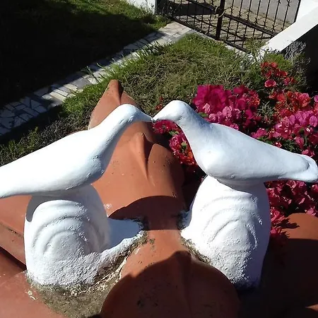 Gæstehus Roulito's Altura